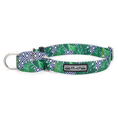 chic tropical palm leaf male martingale dog collar