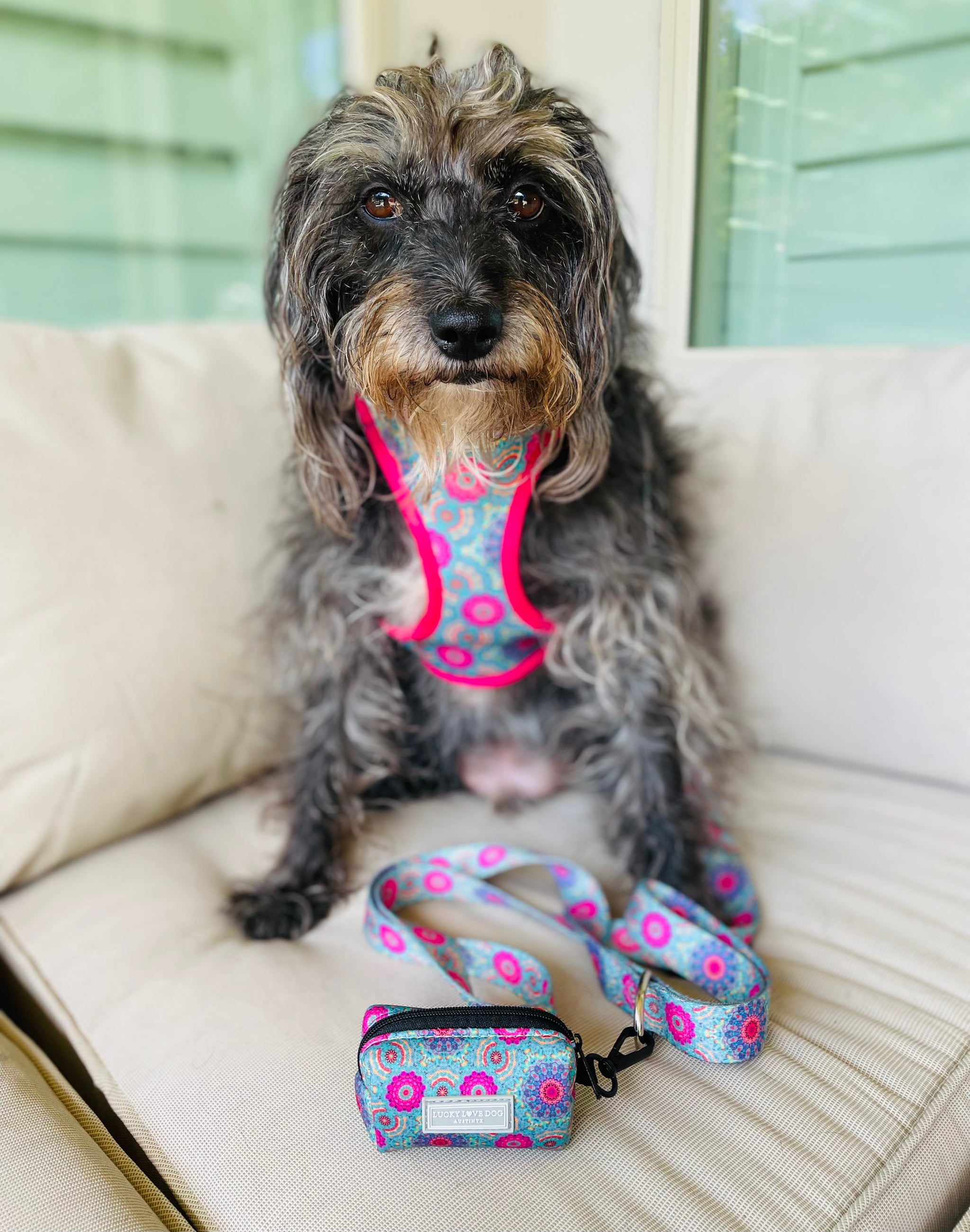 Lucky Love Dog Easy Walker Geschirr – Sommer-Streifen, Verstellbar, Mit Brust- & Rücken-Leinenring, Für Kleine Hunde (XS)