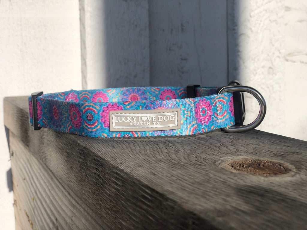 pink and blue boho dog collar with buckle on fence