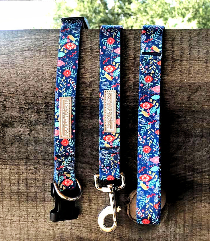 blue winter dog collar and dog leash on fence
