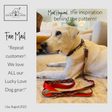 red plaid holiday dog leash on white dog