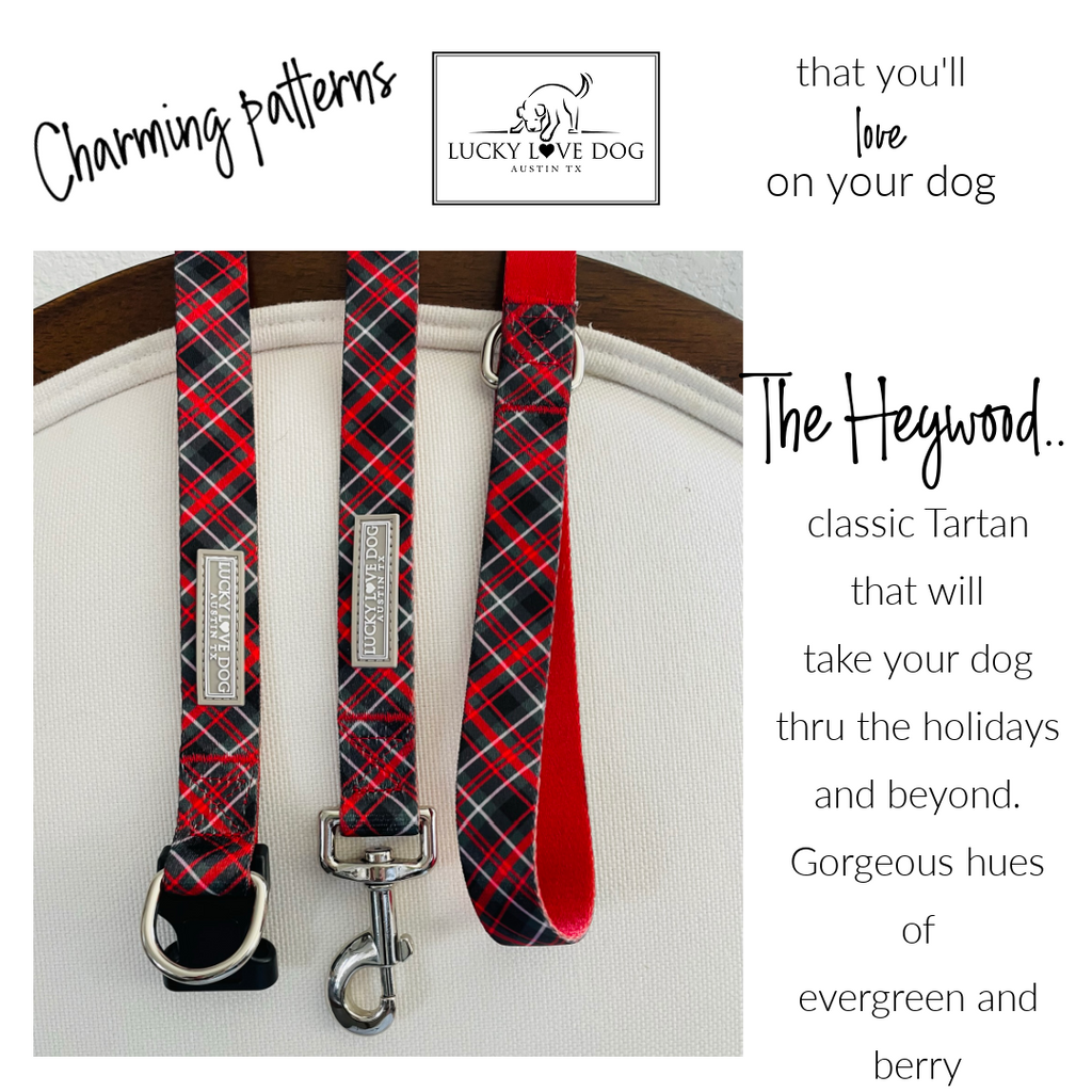 classic tartan plaid dog collar and leash in evergreen and berry