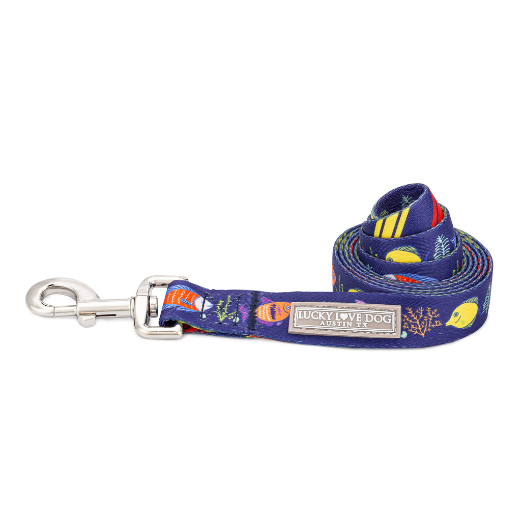 tropical fish blue dog collar on white
