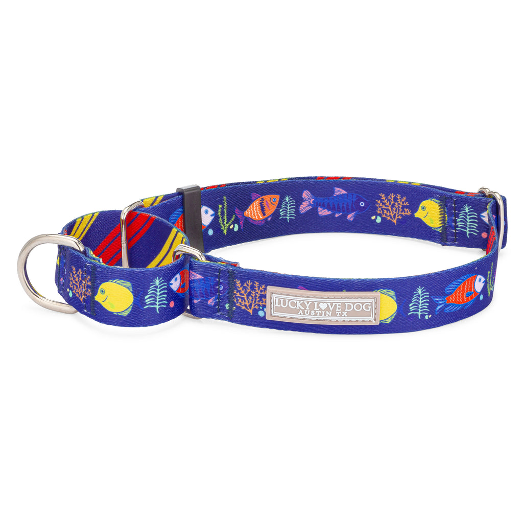 blue tropical fish martingale dog collar on white