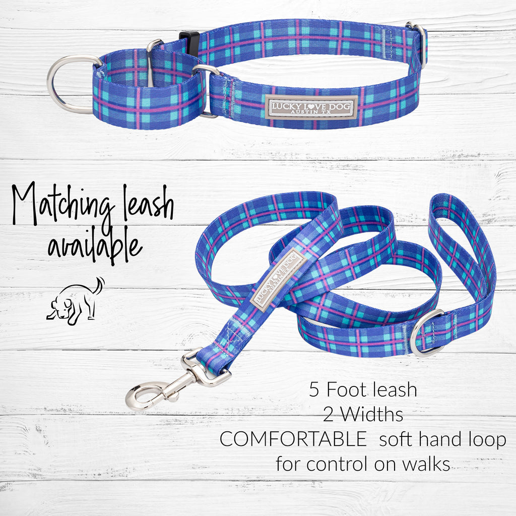 cute blue violet teal martingale dog collar and matching leash