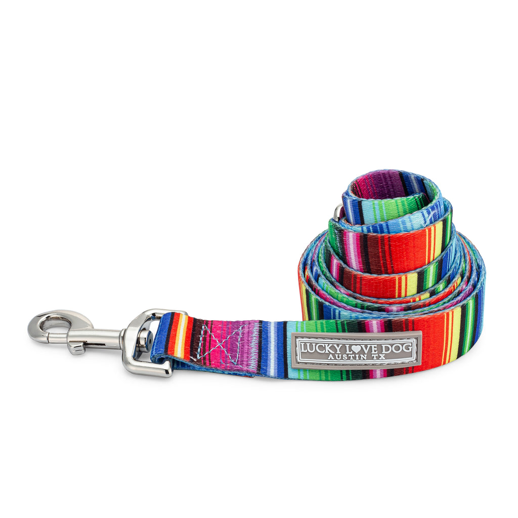 bold fiesta striped cute dog leash