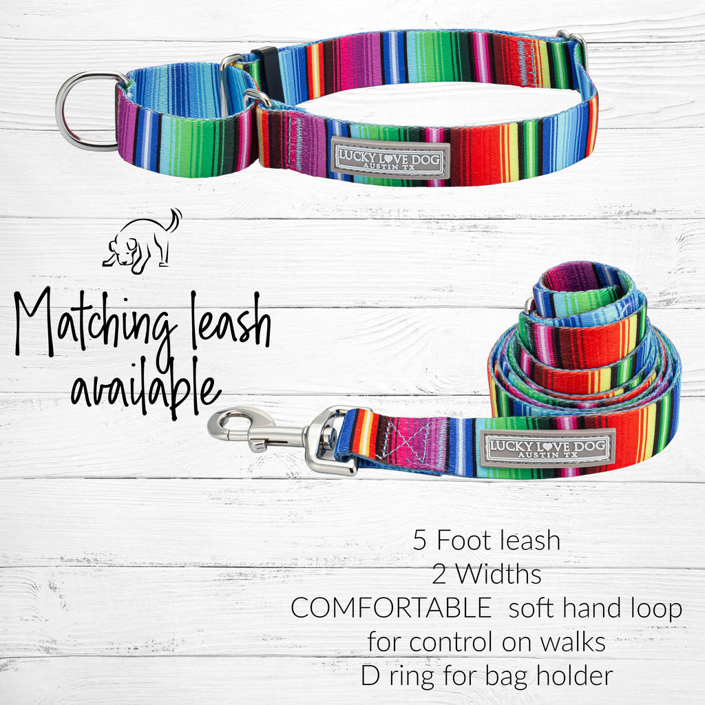 bold fiesta striped martingale dog collar and leash combo