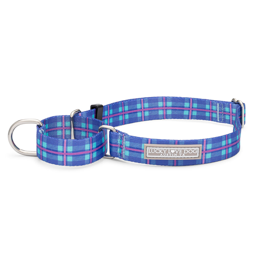 blue violet aqua plaid martingale dog collar