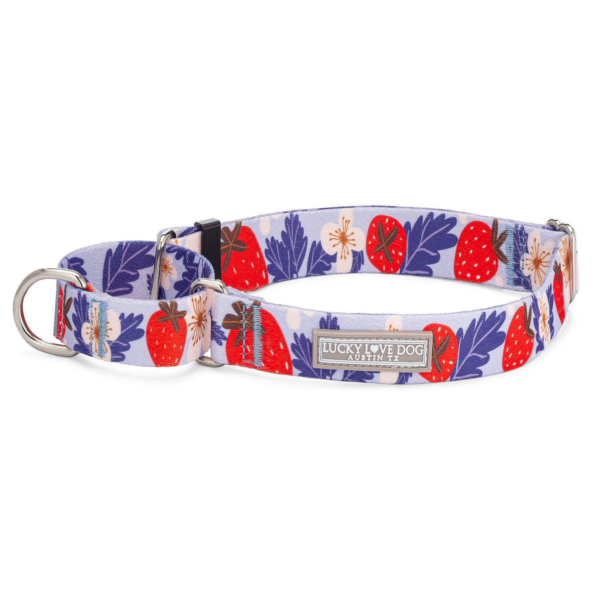 strawberry martingale dog collar on white