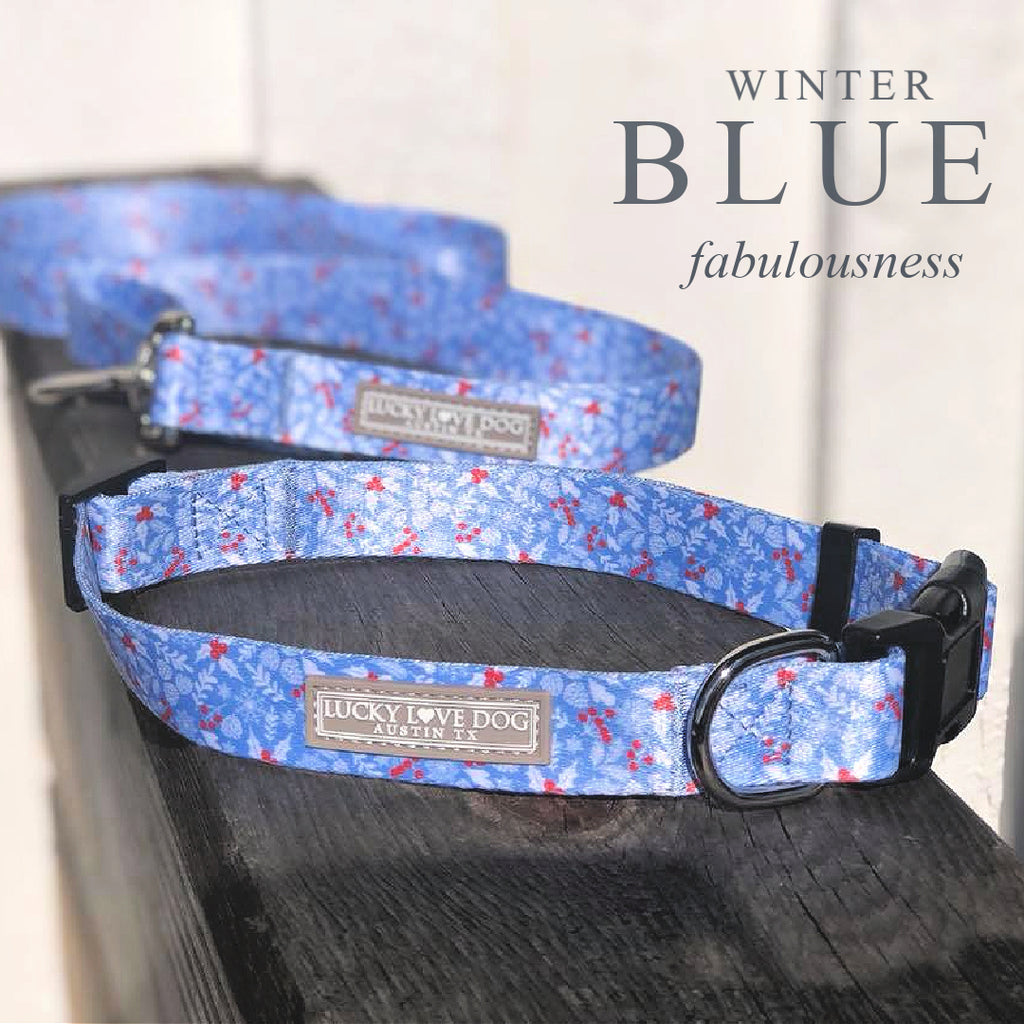 blue white winter berry cute dog collar