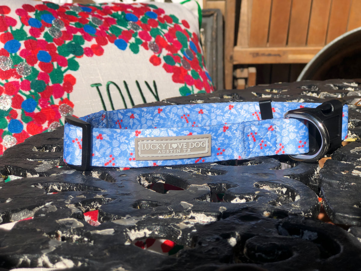winter holly dog collar 